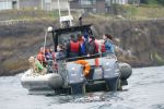 PICTURES/Whale Watching - Depoe Bay/t_P1020911.JPG